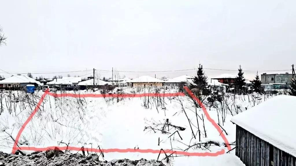 Участок в Ленинградская область, Всеволожский район, Колтушское ... - Фото 1