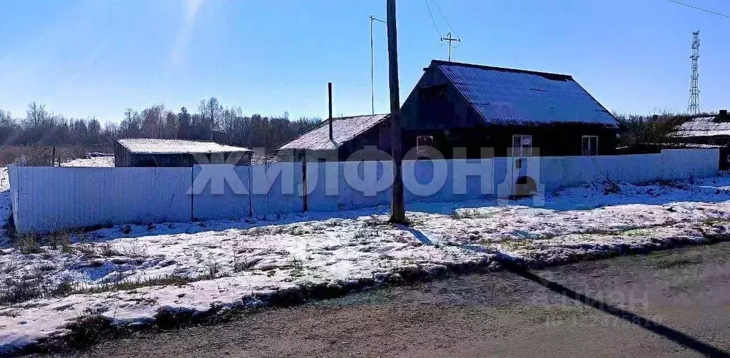 Дом в Новосибирская область, Колыванский район, с. Новотырышкино ... - Фото 1