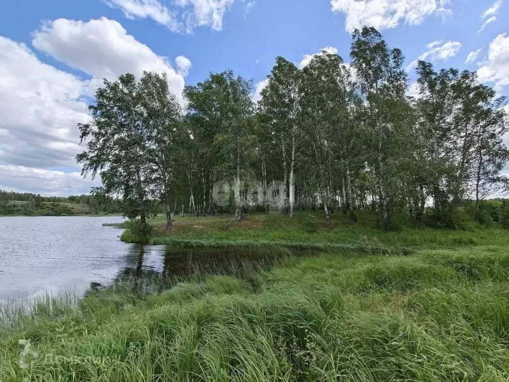 Участок в Новосибирская область, Новосибирский район, Станционный ... - Фото 0