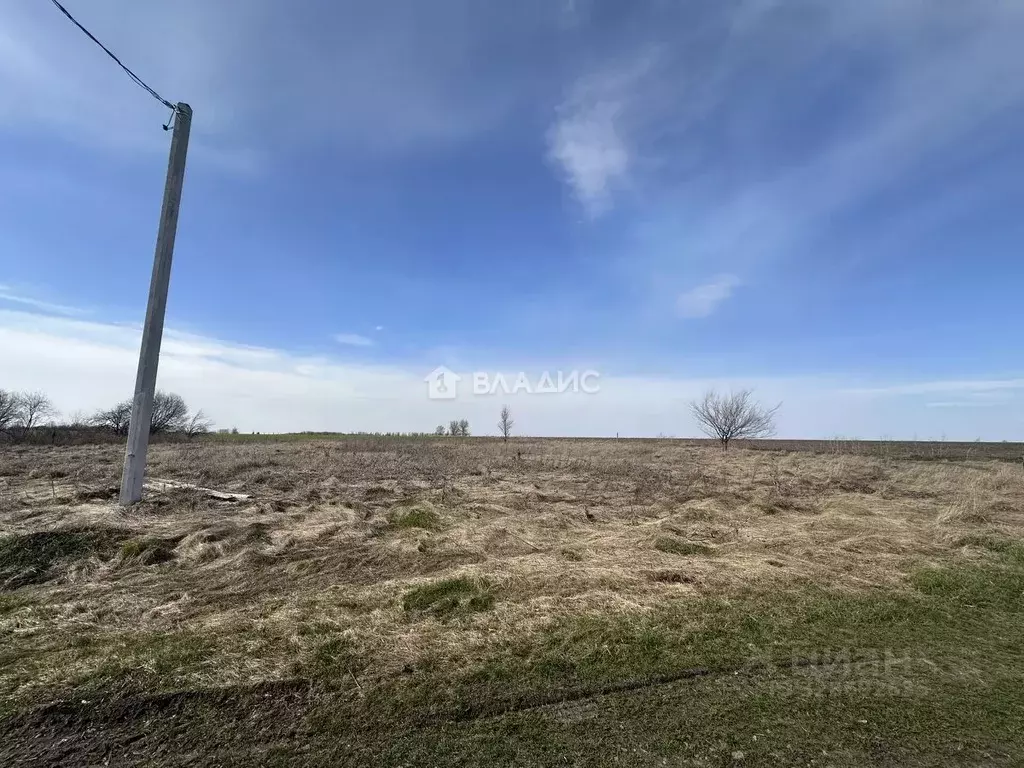 Участок в Воронежская область, Каширский район, Кондрашкинское с/пос, ... - Фото 2