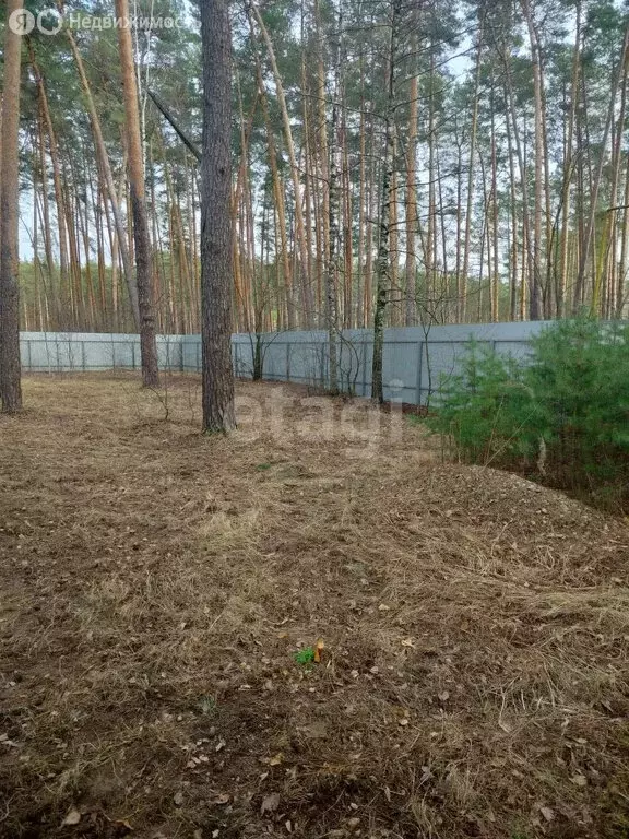 Участок в Тамбов, улица имени Маршала Малиновского (8.5 м) - Фото 1