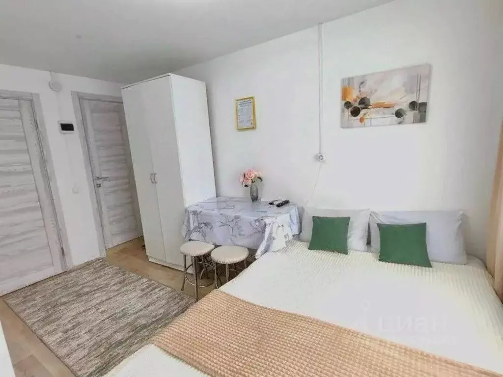 1-к кв. Самарская область, Самара Ново-Садовая ул., 273 (17.0 м) - Фото 1