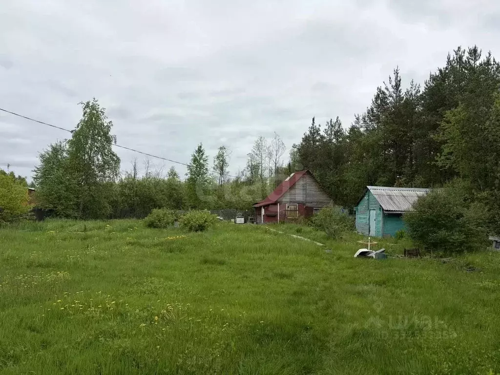 Дом в Архангельская область, Архангельск Чайка СТ,  (25 м) - Фото 1