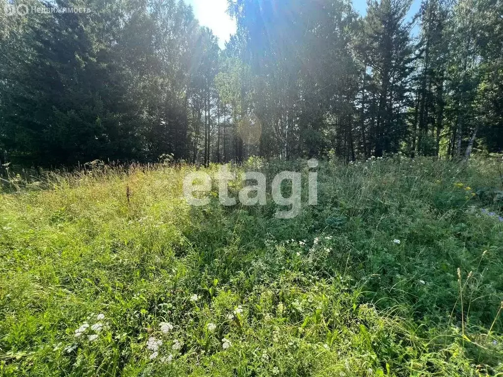 Участок в Красноярский край, Шарыповский муниципальный округ, СНТ ... - Фото 1