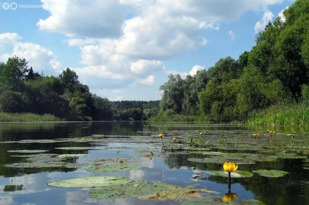 Участок в Московская область, муниципальный округ Истра (18.51 м) - Фото 1