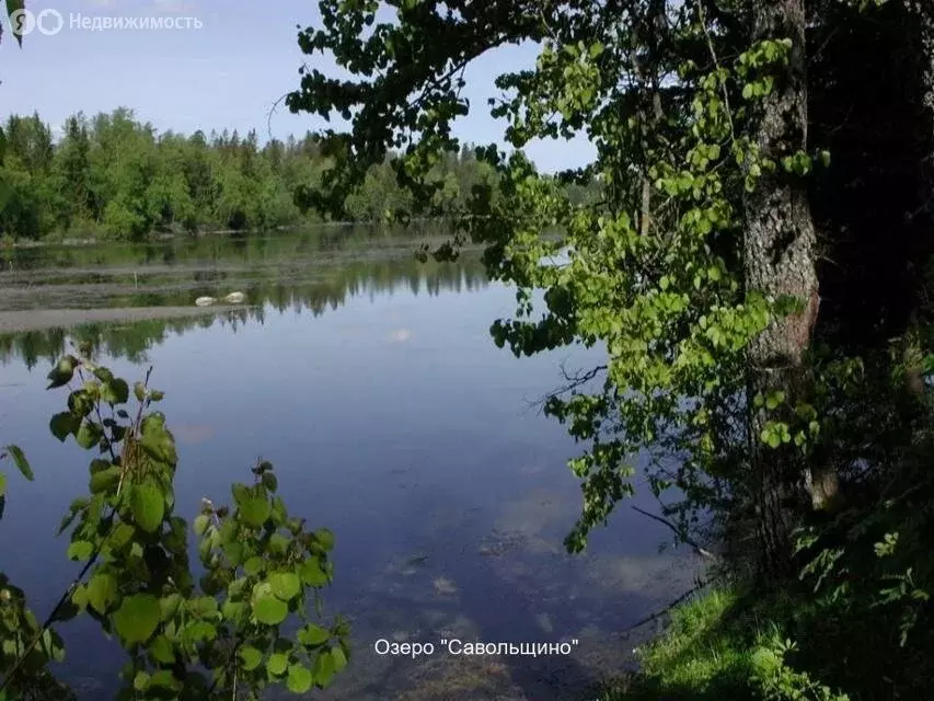 Участок в Лопухинское сельское поселение, ДНП Воронино, 110 (8 м) - Фото 1