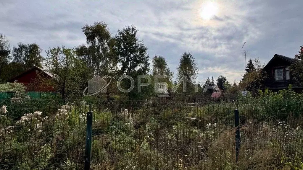 Участок в Тюменская область, Нижнетавдинский район, Геолог-2 СНТ 1-я ... - Фото 1