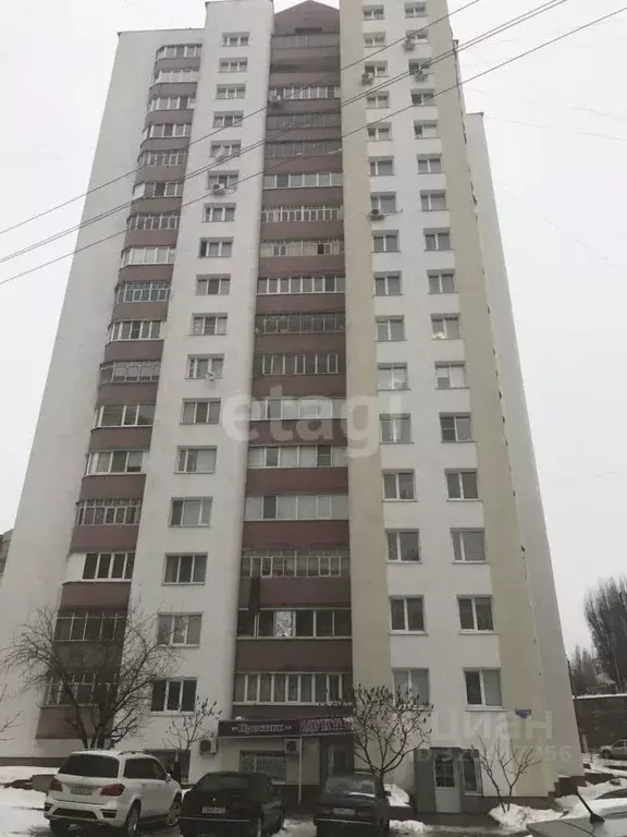 Офис в Белгородская область, Белгород ул. Губкина, 16А (71 м) - Фото 1