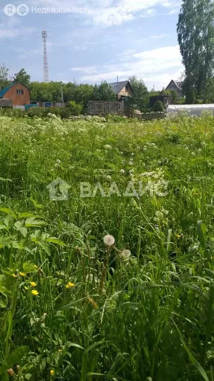 участок в новосибирский район, село раздольное (5.5 м) - Фото 1