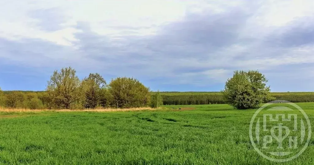 Участок в Ленинградская область, Ломоносовский район, Лопухинское ... - Фото 2