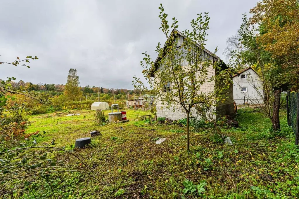 Участок в Калининградская область, Гурьевский муниципальный округ, ... - Фото 2