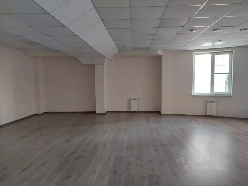 Офис в Свердловская область, Екатеринбург ул. Репина, 95 (74 м) - Фото 2