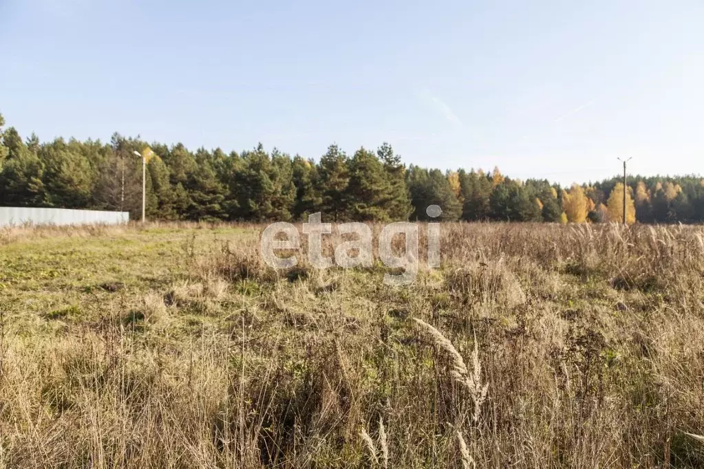 Участок в Владимирская область, Муром Заводская ул. (15.0 сот.) - Фото 0