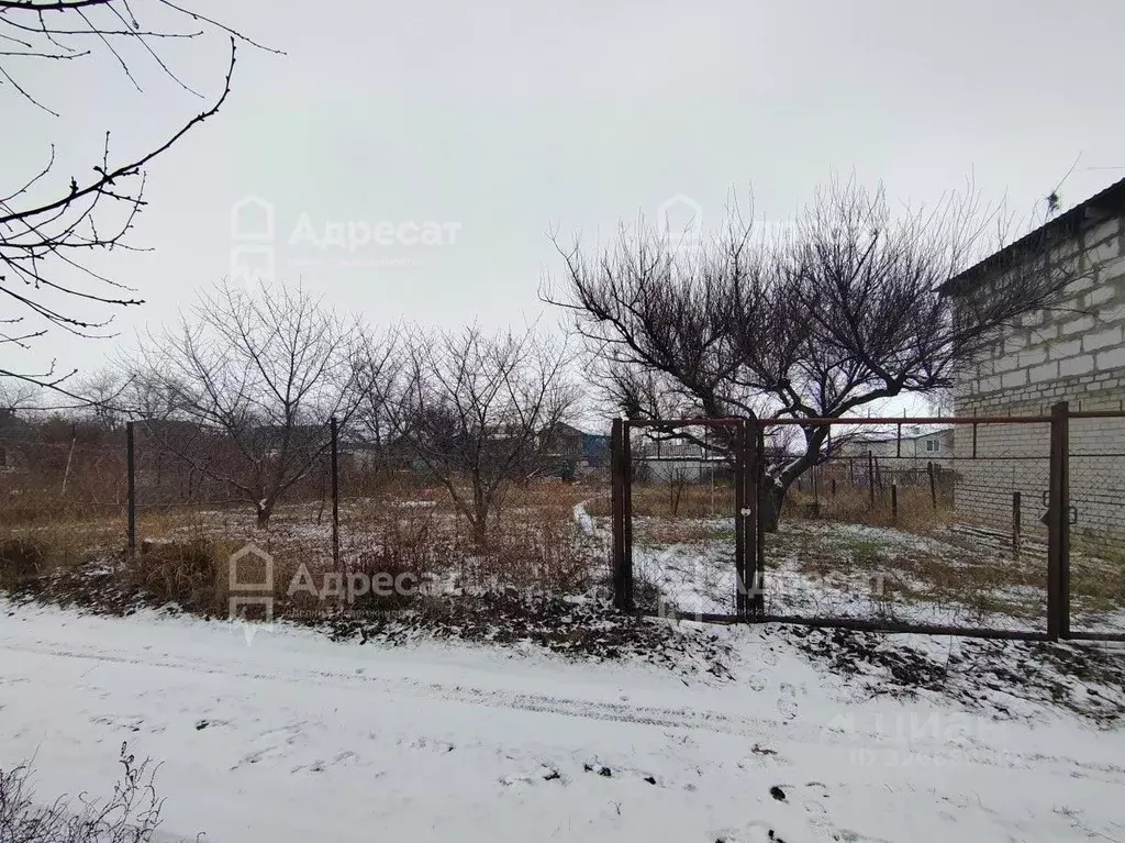 Участок в Волгоградская область, Дубовский район, Пичужинское с/пос, ... - Фото 1