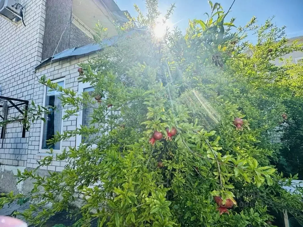 Дом в Краснодарский край, Геленджик муниципальное образование, с. ... - Фото 0