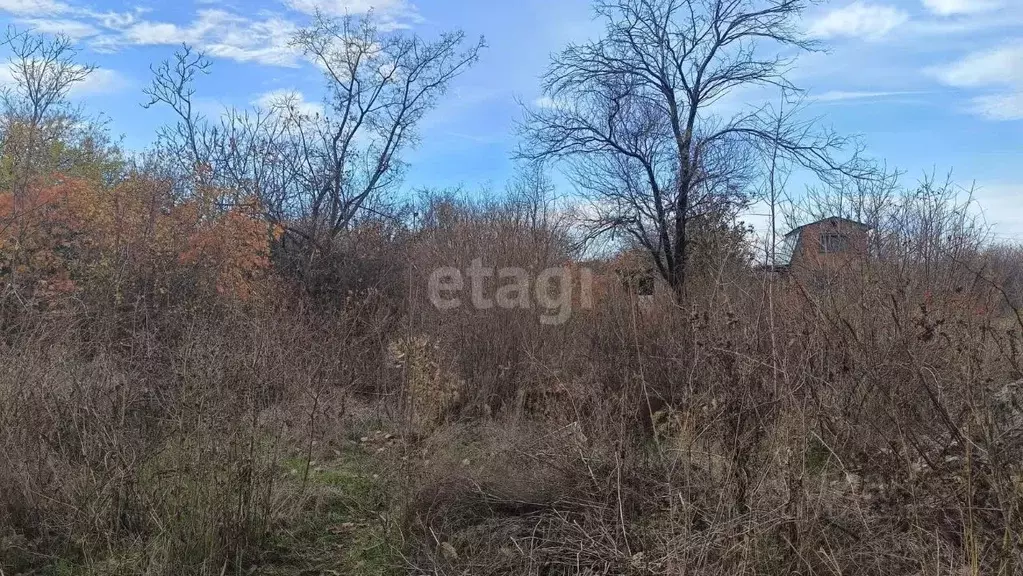 Участок в Краснодарский край, Ейское городское поселение, пос. ... - Фото 1