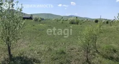 Участок в Майминский район, село Подгорное (6.22 м) - Фото 1