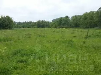 Участок в Белгородская область, Белгородский район, Дубовское с/пос, ... - Фото 0