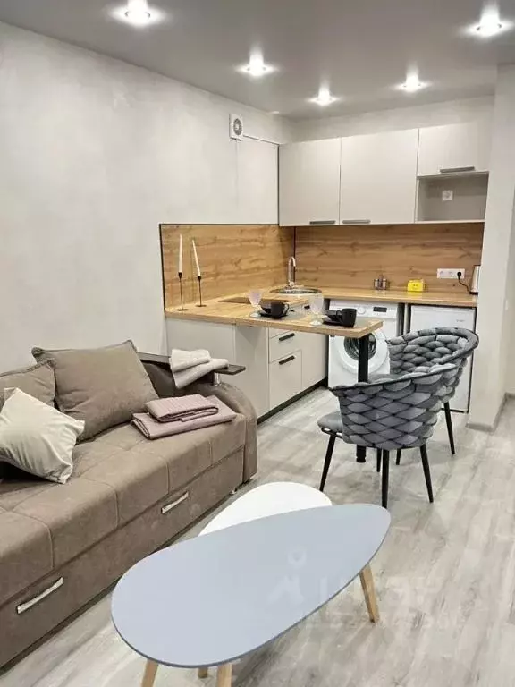 1-к кв. Амурская область, Благовещенский район, с. Чигири ул. ... - Фото 1