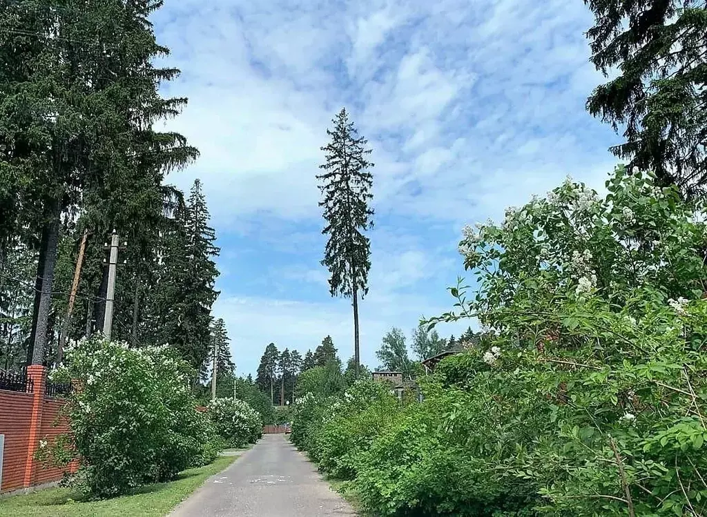 Участок в Московская область, Одинцовский городской округ, д. Осоргино ... - Фото 2