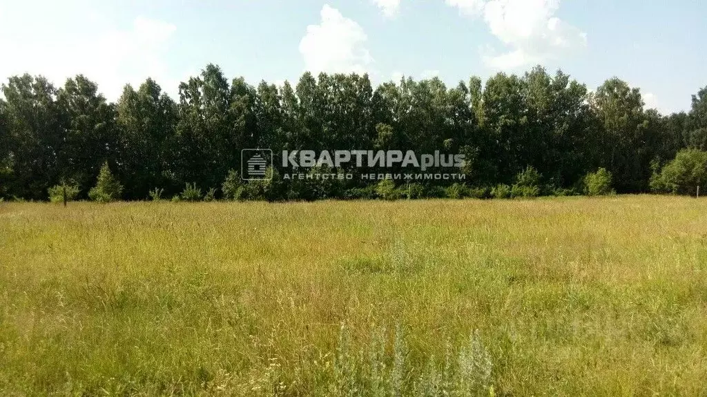 Участок в Свердловская область, Невьянский муниципальный округ, ... - Фото 1