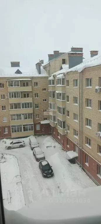 1-к кв. Ярославская область, Рыбинск Волжская наб., 203 (35.9 м) - Фото 2