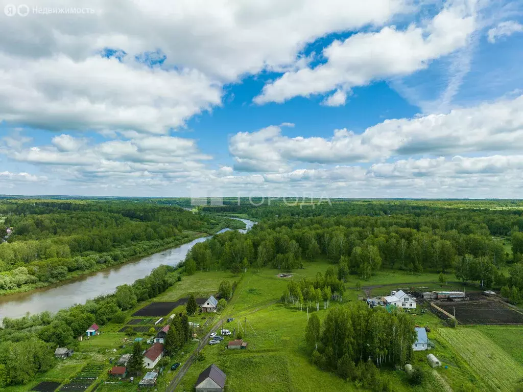 Участок в Тогучинский район, Репьевский сельсовет, село Репьёво (10 м) - Фото 0