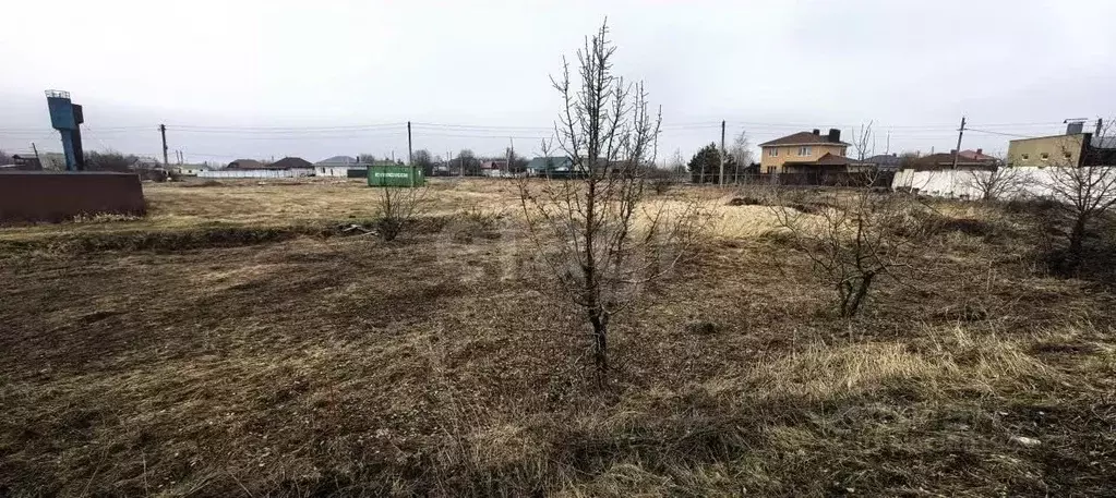 Участок в Воронежская область, Рамонский район, Березовское с/пос, д. ... - Фото 1