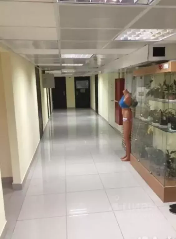 Помещение свободного назначения в Краснодарский край, Новороссийск ... - Фото 1