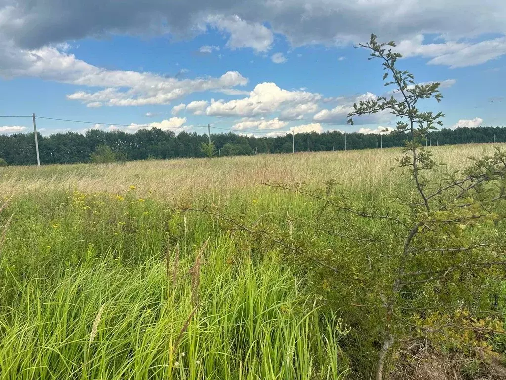 Участок в Тульская область, Тула городской округ, д. Юрьево  (12.0 ... - Фото 0