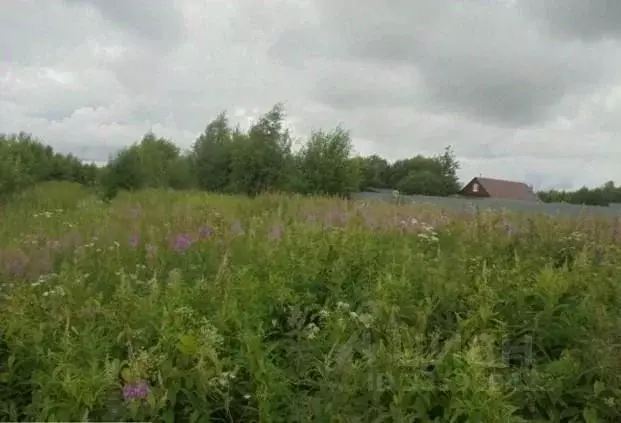 Участок в Московская область, Дмитровский муниципальный округ, пос. ... - Фото 1