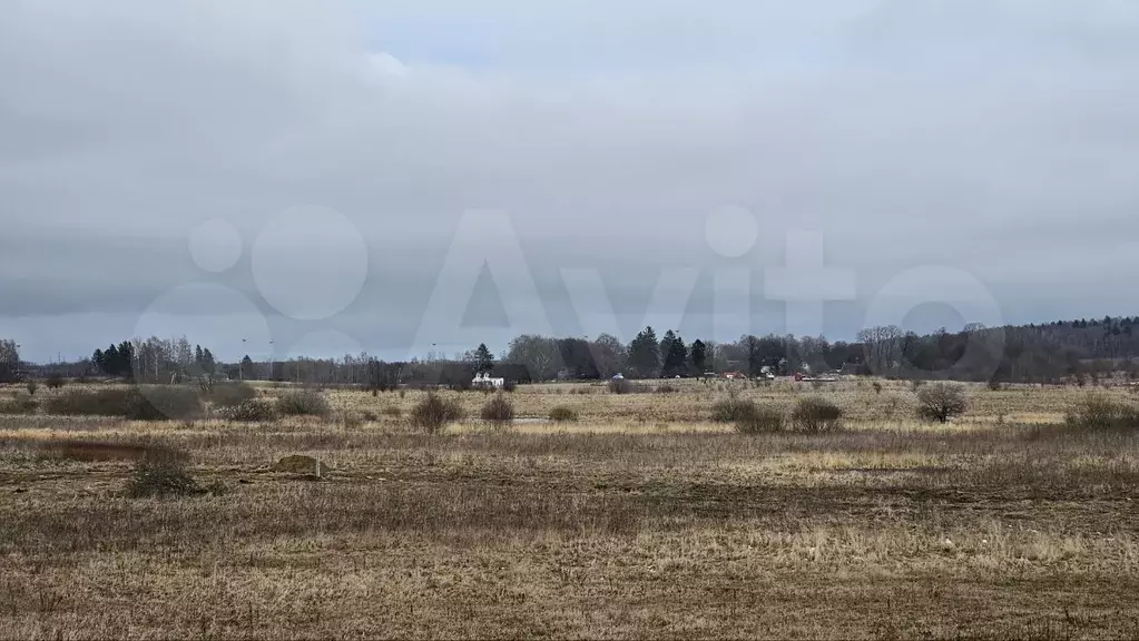 Участок 1,15 га (СНТ, ДНП) - Фото 1