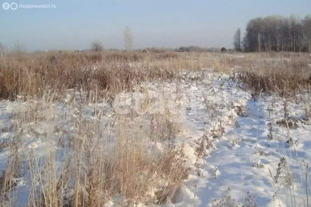 Участок в Тульская область, муниципальное образование Тула, деревня ... - Фото 0