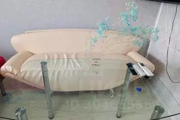 1-к кв. Челябинская область, Челябинск ул. Петра Сумина, 22 (24.0 м) - Фото 1