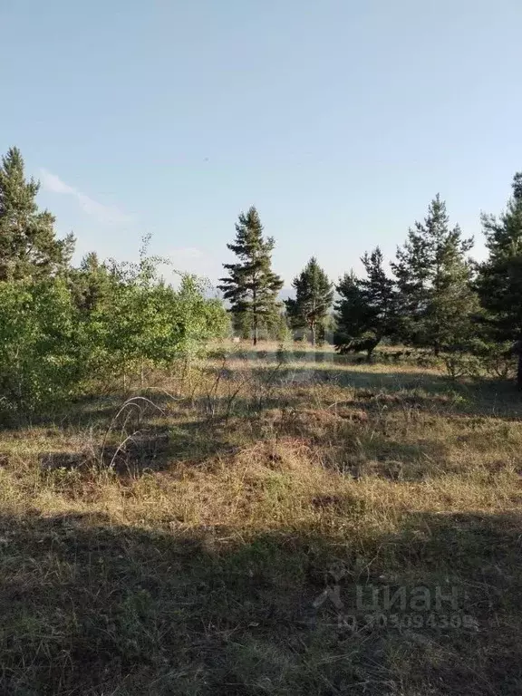 Участок в Бурятия, Заиграевский район, Талецкое муниципальное ... - Фото 1