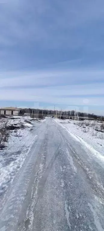 Участок в Белгородская область, Белгородский район, с. Стрелецкое пер. ... - Фото 1
