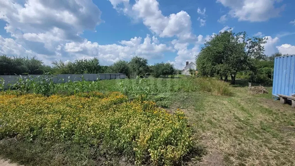 Участок в Белгородская область, Белгородский район, Головинское с/пос, ... - Фото 2