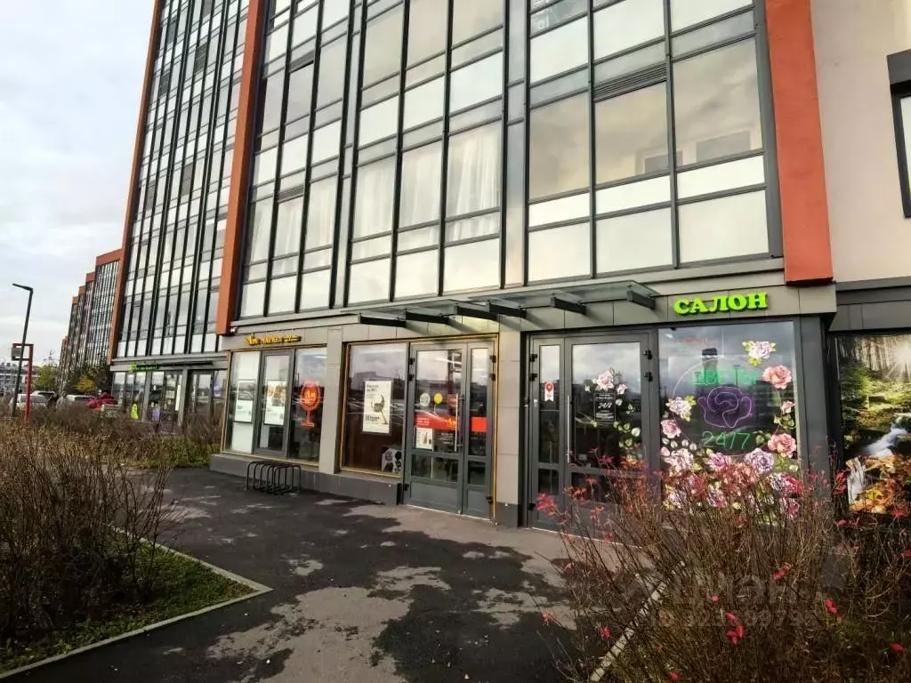 Помещение свободного назначения в Санкт-Петербург просп. Ветеранов, ... - Фото 2