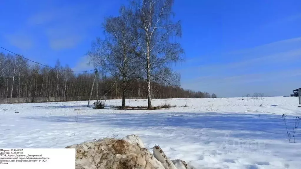 Участок в Московская область, Дмитровский муниципальный округ, д. ... - Фото 1