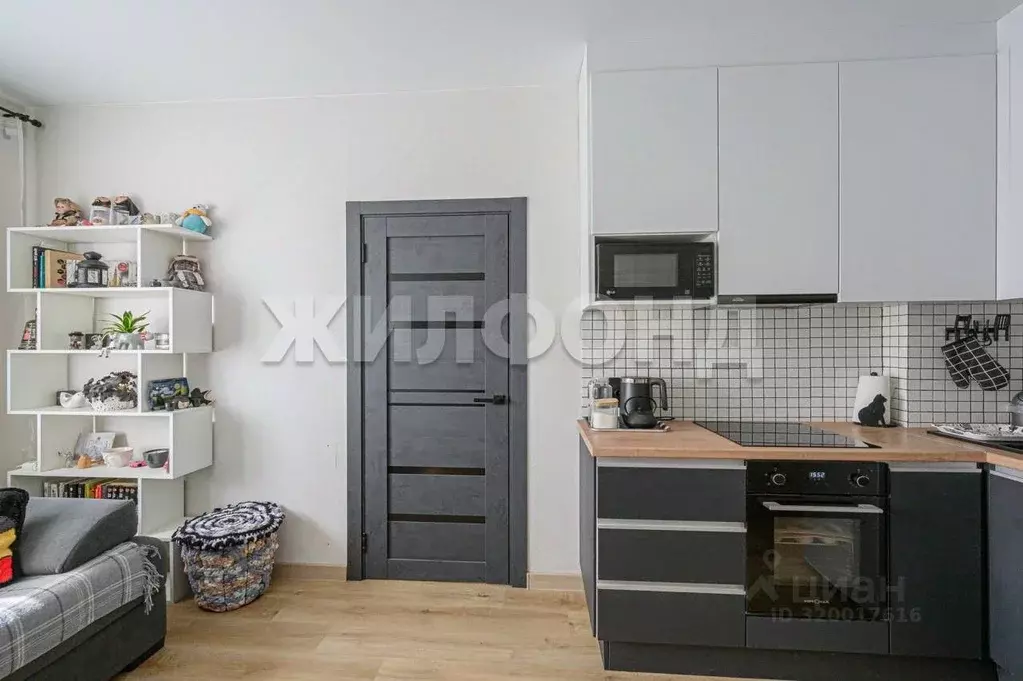 1-к кв. Новосибирская область, Новосибирск ул. Гоголя, 211 (28.1 м) - Фото 1