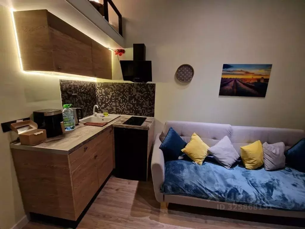 Студия Москва 2-й Амбулаторный проезд, 8С1 (24.0 м) - Фото 1