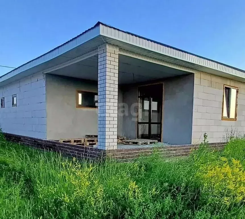 Дом в Алтайский край, Барнаул городской округ, пос. Черницк ул. ... - Фото 1