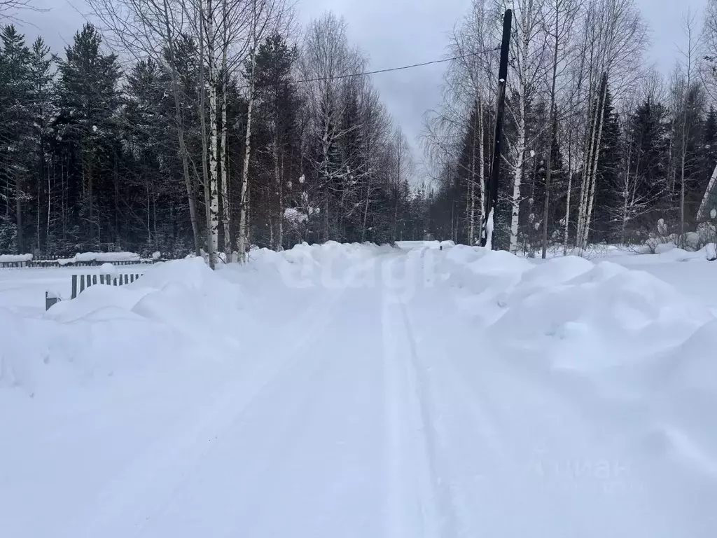 Участок в Коми, Сыктывдинский район, Выльгорт муниципальное ... - Фото 2