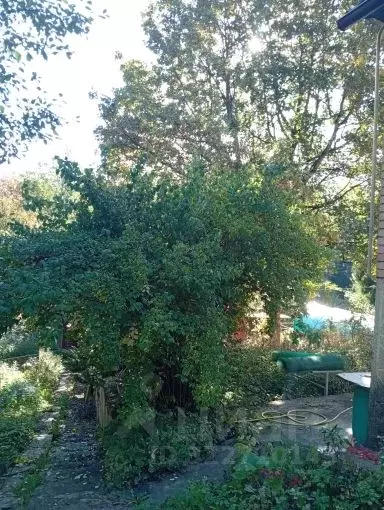 Комната Московская область, Химки Октябрьский ДПК, ул. Глинки (16.0 м) - Фото 2