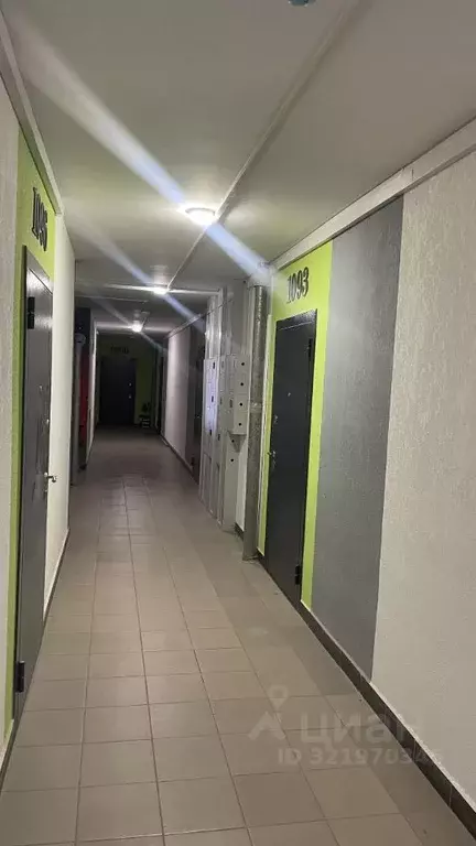 Студия Московская область, Балашиха ул. Яганова, 3 (20.0 м) - Фото 1