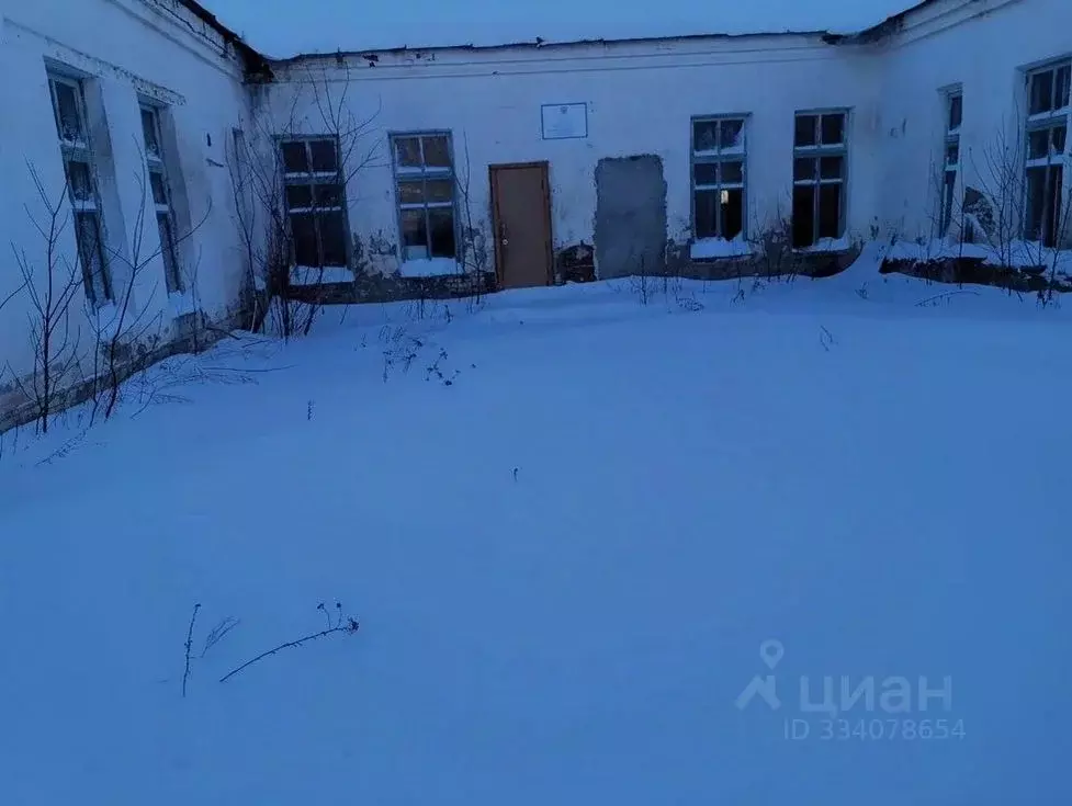 Помещение свободного назначения в Челябинская область, Нагайбакский ... - Фото 1