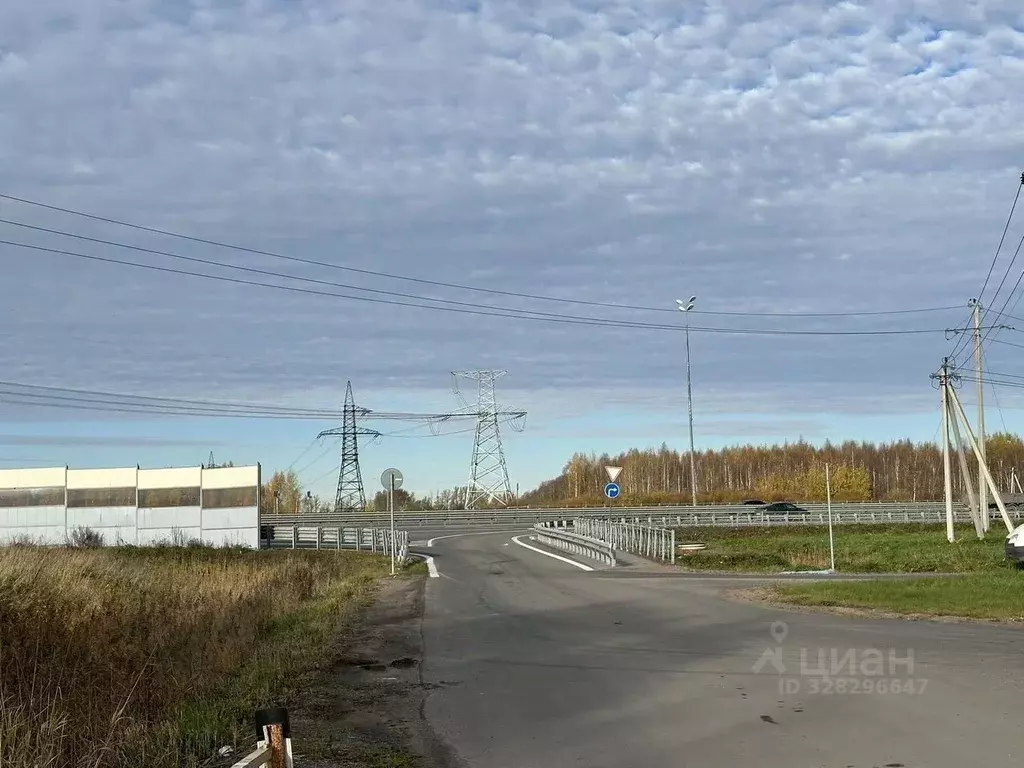 Участок в Ленинградская область, Гатчинский муниципальный округ, Ижора ... - Фото 2