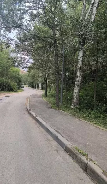 Участок в Москва Полянка-Лапшинка ДНТ, 46/2 (12.0 сот.) - Фото 2