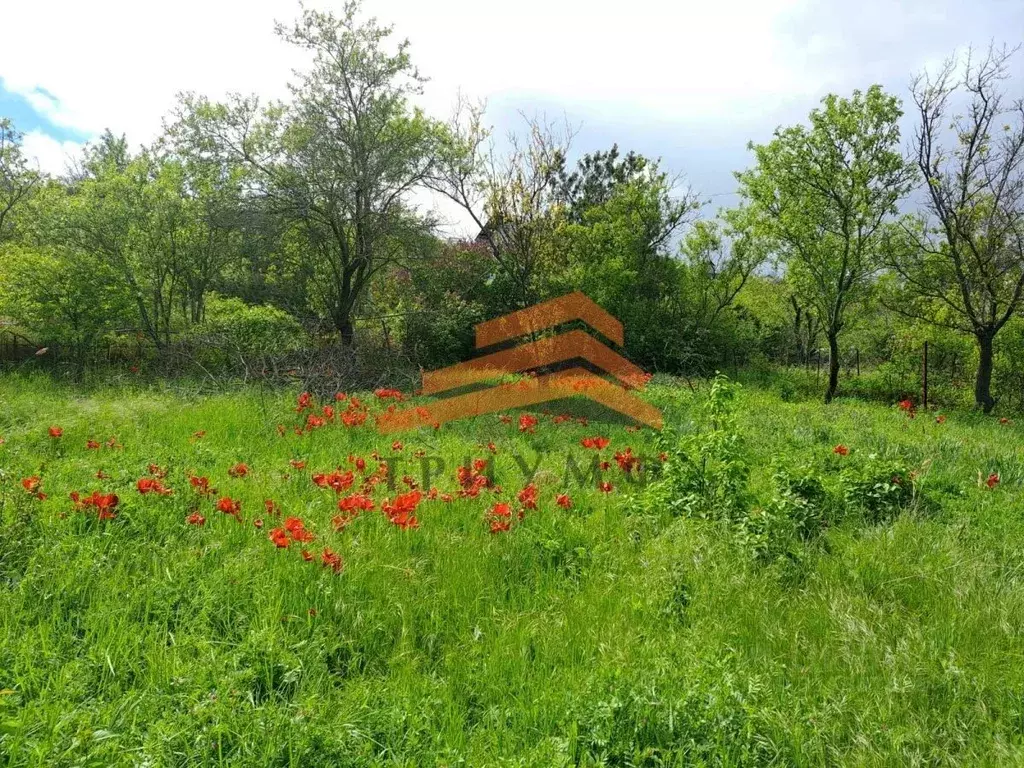 Участок в Крым, Феодосия Восход СПК,  (7.75 сот.) - Фото 1