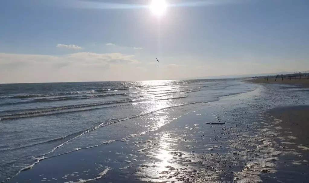 Участок в Сахалинская область, Анивский городской округ, с. Песчанское ... - Фото 0